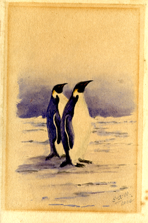 Edward Wilson's watercolour of a penguin